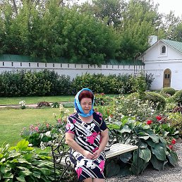  � �����-��������� �������� ���������. ���� 2016 ���