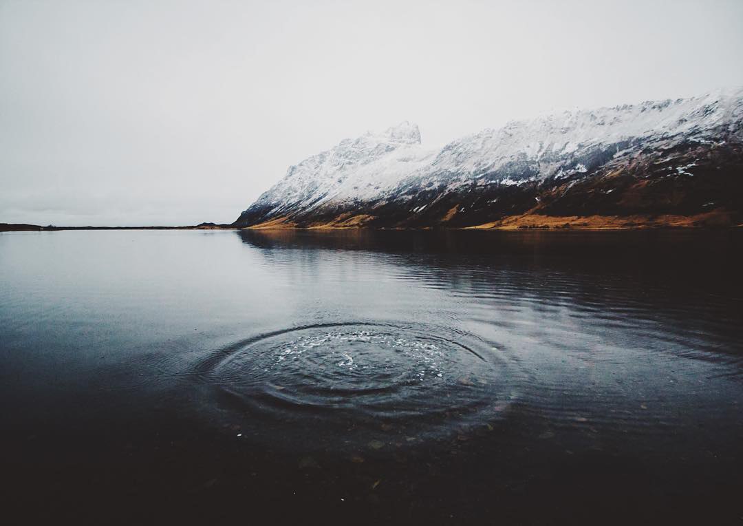      ,      .    ,    ... - 8