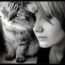 ���� ��������, ��������� - ��������� 20 ���� 2016 � ������ �������-���.....�