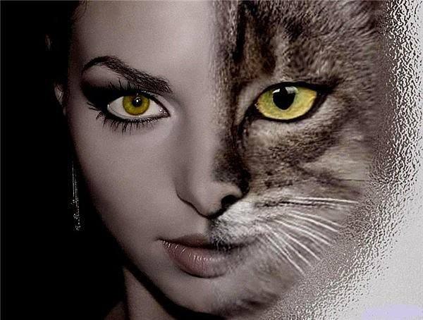 Ах.судьба моя злодейка. Я сама себя боюсь. То пою как канарейка, То как пьяная дерусь. Если надо,то ...