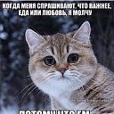  Ocean, , 46  -  16  2016    