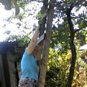 ���� �����, ������ - ��������� 24 ������� 2016 � ������ �� �� ����