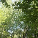 ���� &uuml;Mit, ������, 44 ���� - ��������� 20 ���� 2016