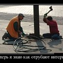 ���� ����, ������, 43 ���� - ��������� 3 �������� 2016 � ������ ���� ����������