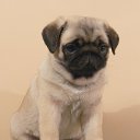 ���� �����, ���� - ��������� 25 ��� 2016 � ������ ������ ��������