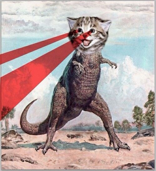  .     ,  -  : " , ? ...