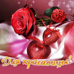 ���� ����, ������, 54 ���� - ��������� 5 ���� 2016