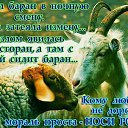 ���� ��������, ���������� - ��������� 9 �������� 2016 � ������ ������ ��������