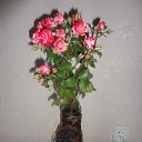 �� ����������� ����. ������� ���� - ����� ���� ��� ������ �� ������� ������������� ������� ������ ������.�