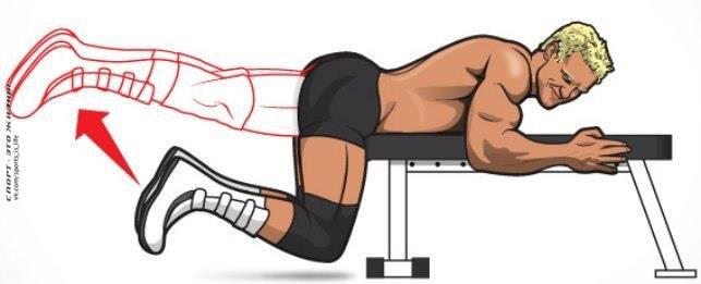 .    .        ... - 7