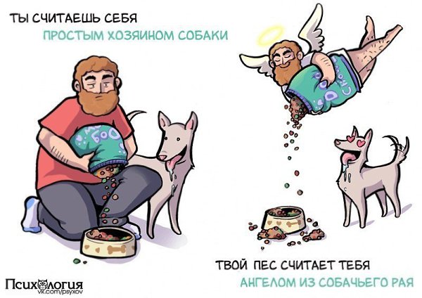 Разница между тем, как вы себя видите и как вас воспринимает собака. - 10