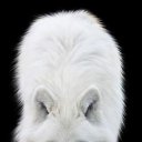 ���� Sova, ������, 43 ���� - ��������� 14 ������� 2016