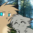 ���� ���, ������� - ��������� 31 ��� 2016 � ������ ������ ��������