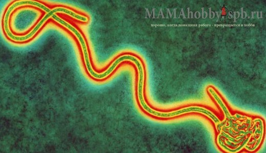 Медь поможет справиться с инфекциями Неумолимая статистика говорит, что 80% всех вредоносных ...
