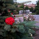 ���� �������, �������, 45 ��� - ��������� 7 �������� 2016 � ������ �������ʻ