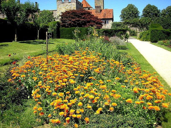 ���� �������� ���������(Penshurst Place & Gardens)����,��������������. ��� �������� ����������� ... - 13