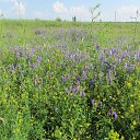  , -- -  15  2016    2016