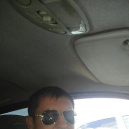 ���� ������, ���, 41 ��� - ��������� 14 ������� 2016