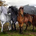 ���� Karl, ������ - ��������� 10 ����� 2016 � ������ ���� ����������