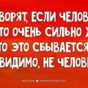 ���� �������, �����-���������, 58 ��� - ��������� 8 �������� 2016 � ������ ���� ����������