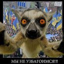 ���� ������, ��������� - ��������� 11 ����� 2016 � ������ ���� ����������
