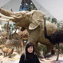 ���� �������, �������������, 64 ���� - ��������� 7 ��� 2016 � ������ ���� ����������