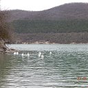 ���� �����, ���� - ��������� 28 ����� 2016 � ������ �������������� ����