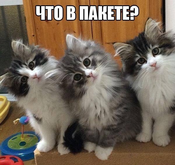     :