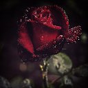 ���� ������, ��������-��-������ - ��������� 16 ������ 2016 � ������ ������ ��������