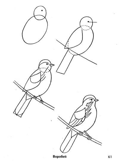 Рисунки по клеточкам → Как рисовать попугая / Пиксель арт в тетради для начинающих / Лайк 👍 АРТ