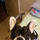 ���� �����, ���������, 50 ��� - ��������� 14 ����� 2016 � ������ ���� ����������