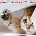 ���� ��������, ������������, 67 ��� - ��������� 9 �������� 2016 � ������ ���� ����������