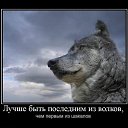 ���� �����, ������, 60 ��� - ��������� 12 ���� 2016 � ������ ������ ��������