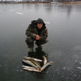 ���� ������, ������, 55 ��� - ��������� 15 ����� 2016