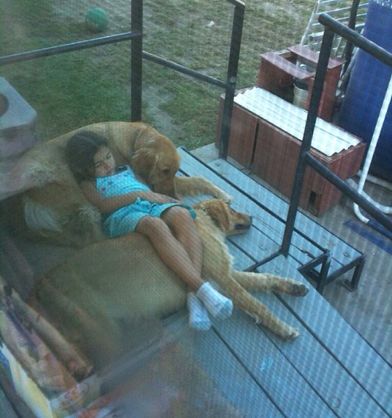 - |  -  . - 29  2016  14:25