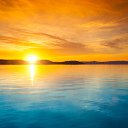 ���� ����, ������, 43 ���� - ��������� 24 ����� 2016