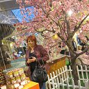 ���� �����, ������, 45 ��� - ��������� 6 ��� 2016 � ������ ���� ����������