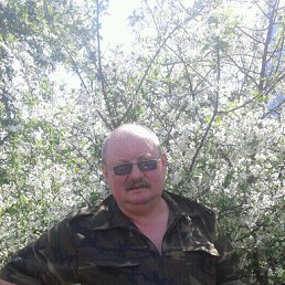 ���� ������, �����������, 65 ��� - ��������� 7 ���� 2016