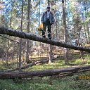 ���� ���������, �����-���������, 61 ��� - ��������� 12 ��� 2016 � ������ ���� ����������