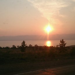 ���� ������, ����-���, 41 ��� - ��������� 20 ���� 2016