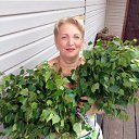 ���� ����, �����-���������, 68 ��� - ��������� 18 ������� 2016 � ������ ���� ����������