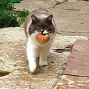 ���� �������, ������� - ��������� 25 ���� 2016 � ������ ���� ����������