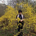 ������ �� ������� �������������