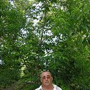 ���� ��������, ����������, 69 ��� - ��������� 23 ������ 2016 � ������ ������ ��������