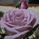 ���� �������, ������, 55 ��� - ��������� 8 �������� 2016 � ������ ���� ����������