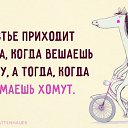 ���� �����, �����-��������� - ��������� 26 ���� 2016 � ������ ������ ��������