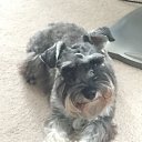 Lola �� ������� �Mo� ��������