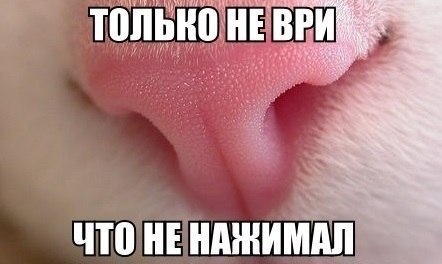  -  - 22  2016  21:30