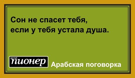 ���� �������� - 24 ������� 2016 � 16:52