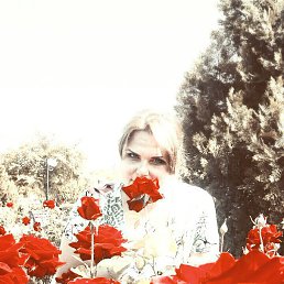 ���������, ���������, 39 ���